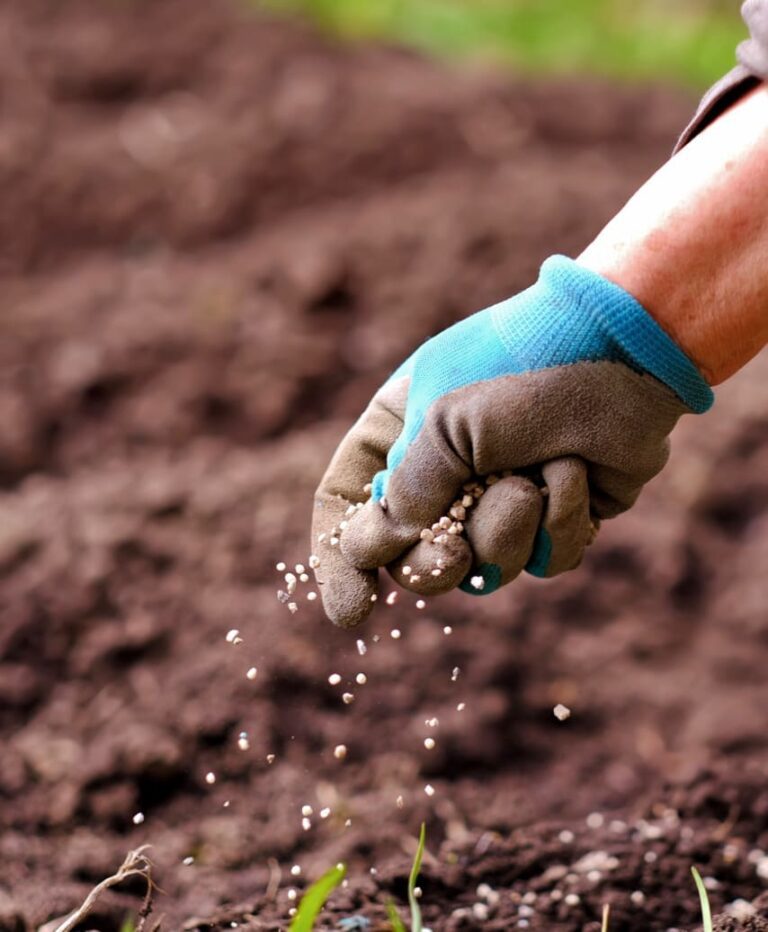 Planting Installation